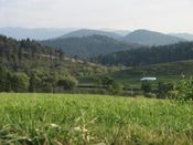 Bieszczady (2), zdjęcie 6
