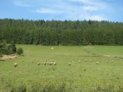 Bieszczady (2), zdjęcie 30