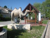 Dookoła Śląska, zdjęcie 8