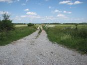 Góry Stołowe, zdjęcie 37