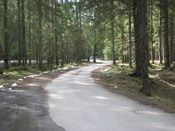Habovka, zdjęcie 23