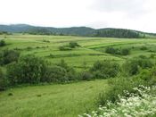 Krynica, zdjęcie 2