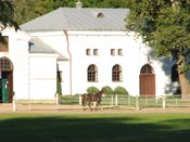 Puszcza Augustowska, zdjęcie 6