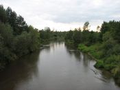 Puszcza Augustowska, zdjęcie 10