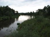 Puszcza Augustowska, zdjęcie 11