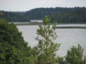Puszcza Augustowska, zdjęcie 31