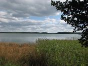 Puszcza Augustowska, zdjęcie 32