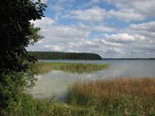 Puszcza Augustowska, zdjęcie 33