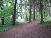 Puszcza Augustowska, zdjęcie 35