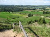 Puszcza Augustowska, zdjęcie 42