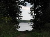 Puszcza Augustowska, zdjęcie 45