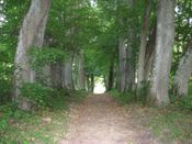 Puszcza Augustowska, zdjęcie 49
