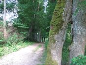Puszcza Augustowska, zdjęcie 51