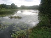Puszcza Augustowska, zdjęcie 64