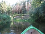 Puszcza Augustowska, zdjęcie 80