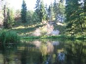 Puszcza Augustowska, zdjęcie 92