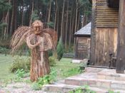 Puszcza Augustowska, zdjęcie 102