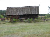 Puszcza Augustowska, zdjęcie 117