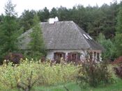 Puszcza Augustowska, zdjęcie 124