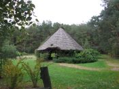 Puszcza Augustowska, zdjęcie 126