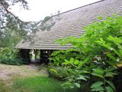 Puszcza Augustowska, zdjęcie 133