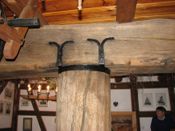 Puszcza Augustowska, zdjęcie 138