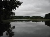 Puszcza Augustowska, zdjęcie 149