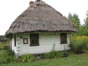 Puszcza Augustowska, zdjęcie 153
