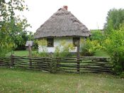 Puszcza Augustowska, zdjęcie 168