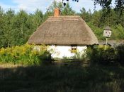 Puszcza Augustowska, zdjęcie 180