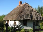 Puszcza Augustowska, zdjęcie 181