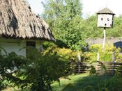 Puszcza Augustowska, zdjęcie 182