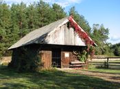 Puszcza Augustowska, zdjęcie 183