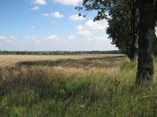 Zlate Hory, zdjęcie 16