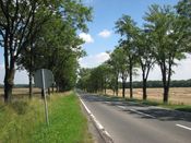 Zlate Hory, zdjęcie 17